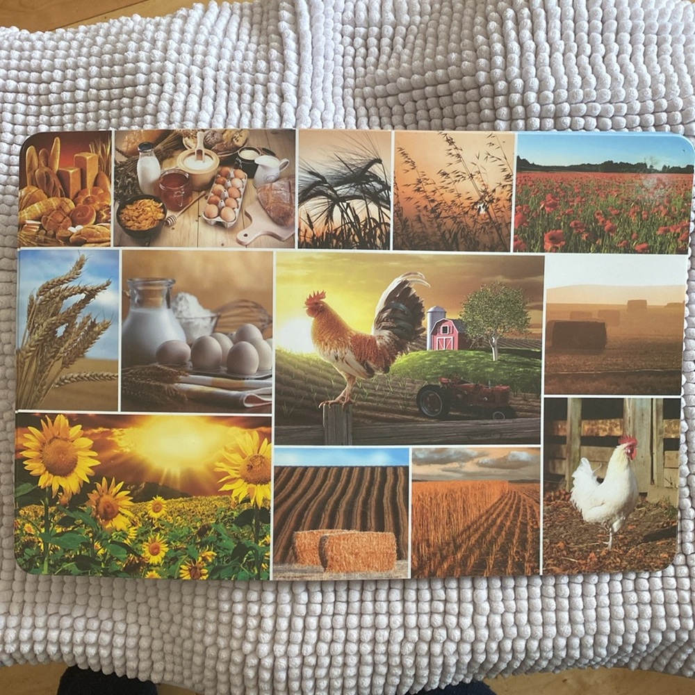 8 Farm Life Collage Art Placemats - Picture 1 of 3